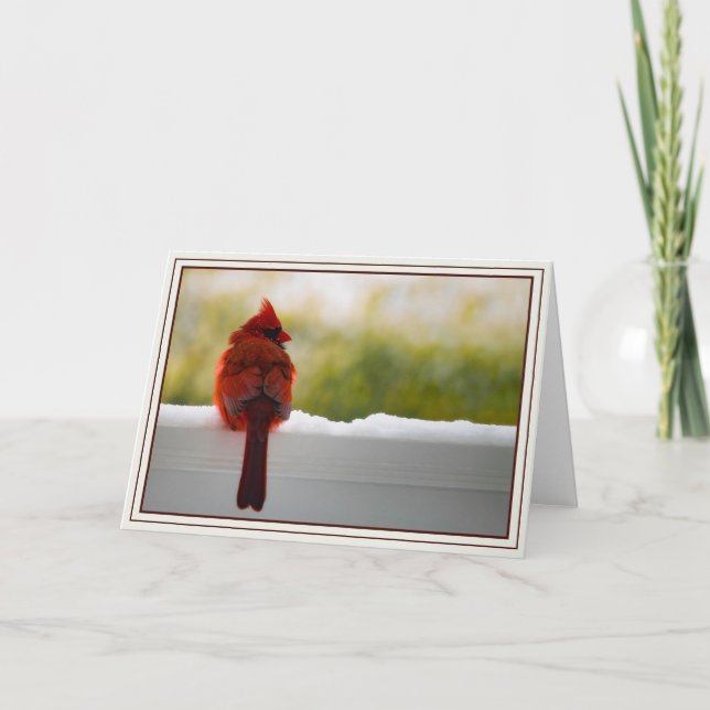 Tarjeta Cardinal (Anverso)