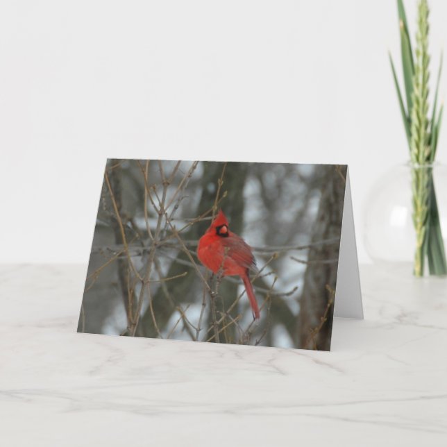 Tarjeta Cardinal (Anverso)