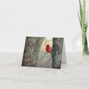 Tarjeta Cardinal
