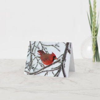 Tarjeta Cardinal