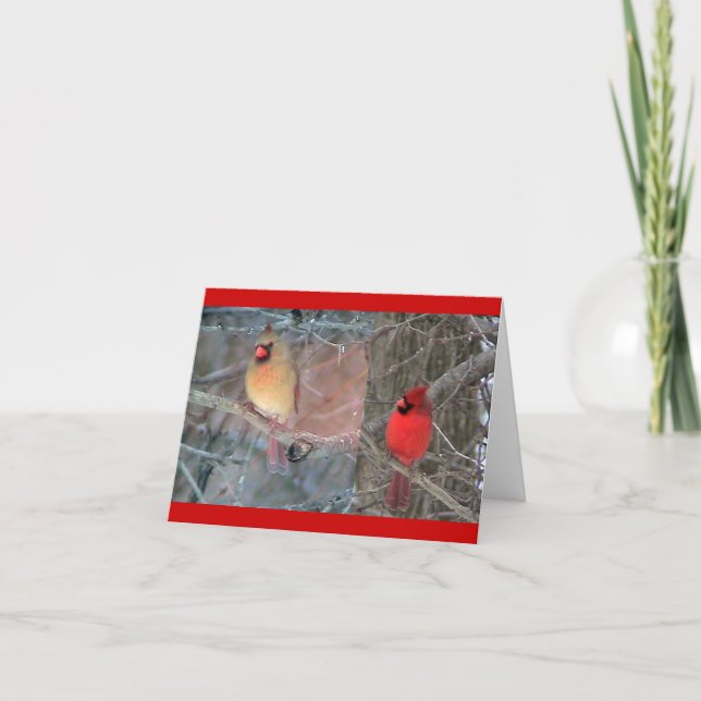 Tarjeta cardinal roja de los pares (Anverso)