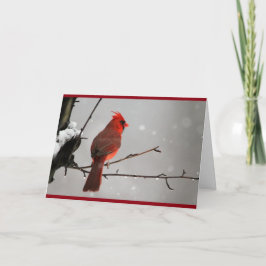 Tarjeta Cardinal Thinking of you card