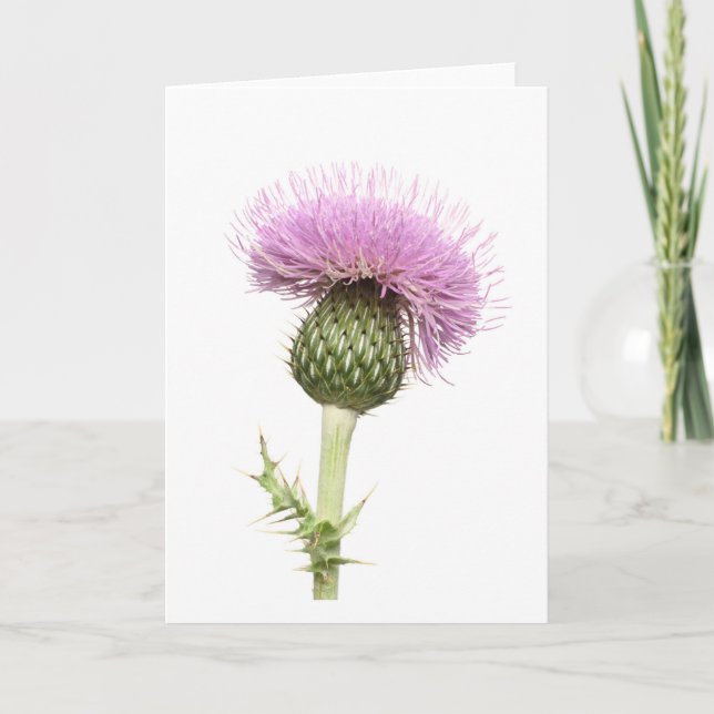 Tarjeta Cardo (Anverso)