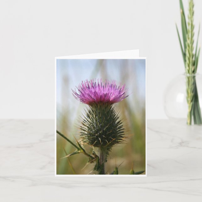 Tarjeta Cardo escocés Notecard (Anverso)