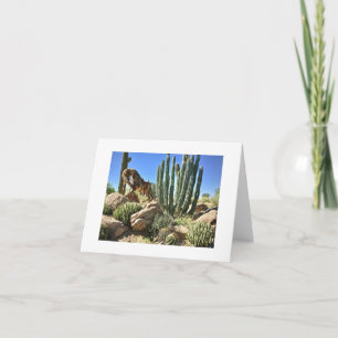 Tarjeta Carefree Desert Gardens Blank Card
