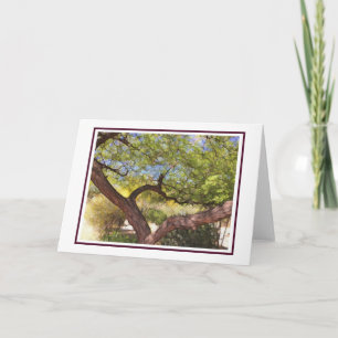 Tarjeta Carefree Tree Blank Card