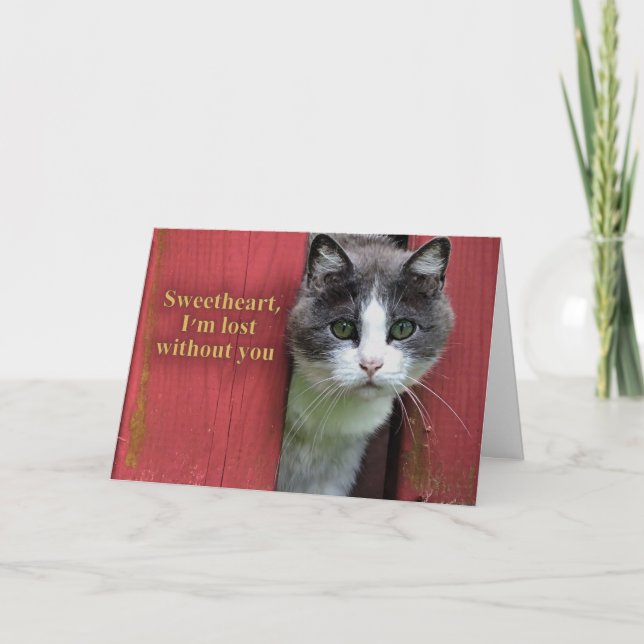 Tarjeta Cariño, estoy perdido sin ti, gato bonito (Anverso)