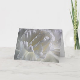 Tarjeta Carnaciones blancas 9570
