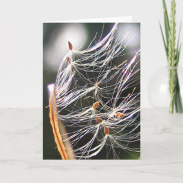 Tarjeta Carnaval de Milkweed Poof con naturaleza lúdica