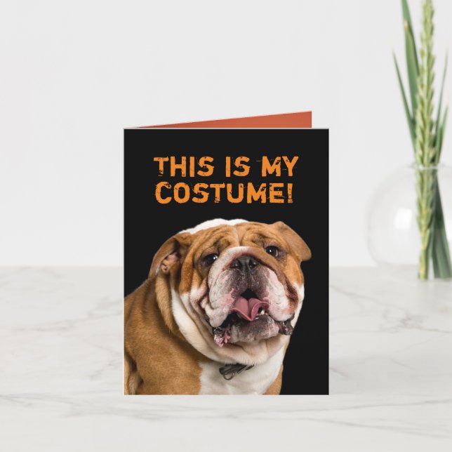 Tarjeta Carne blanca vestida como Bulldog de Halloween (Anverso)