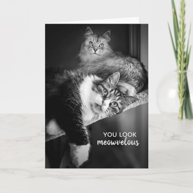 Tarjeta Carné de cumpleaños Meowvelly (Anverso)