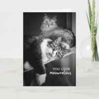 Carné de cumpleaños Meowvelly