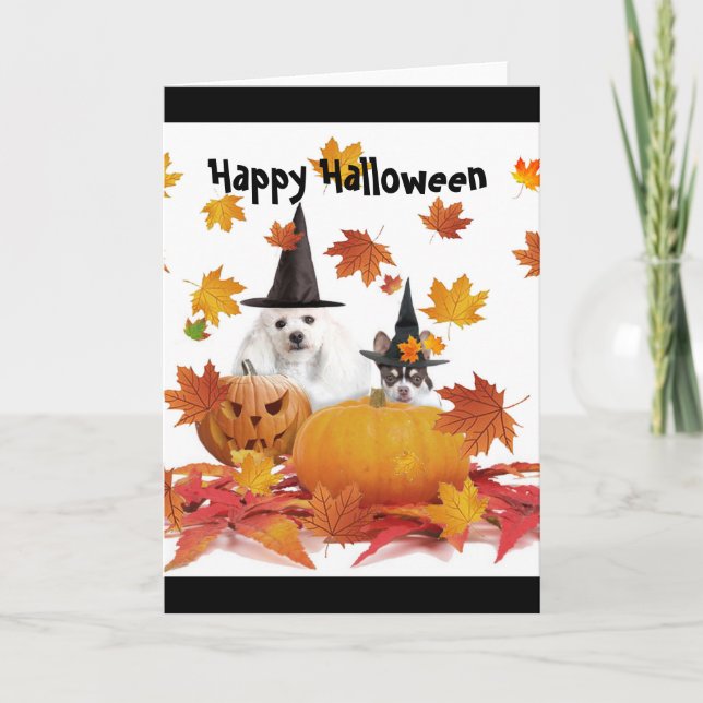 Tarjeta Carne de perro de Halloween y chihuahua (Anverso)