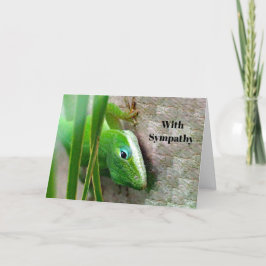 Tarjeta Carolina Anole Green Lizard Photo Sympathy