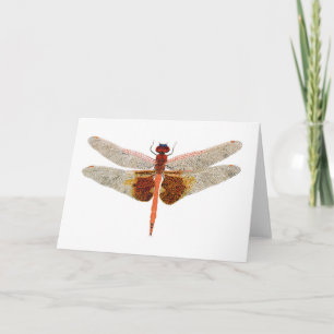 Tarjeta Carolina Saddlebags Dragonfly