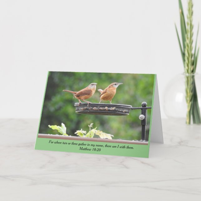 Tarjeta Carolina Wren Pair Blank Card (Anverso)