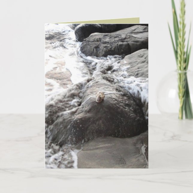 Tarjeta Carpe Diem (Anverso)