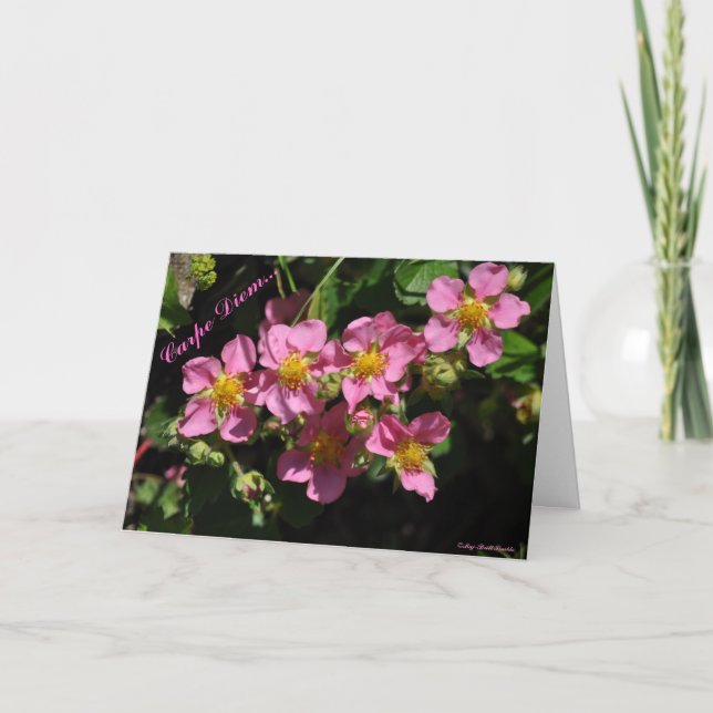 Tarjeta Carpe Diem… (Anverso)