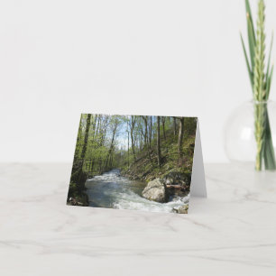 Tarjeta Carrera de cedro en cañón de roble blanco