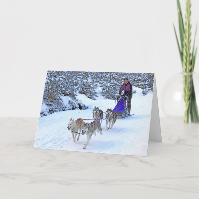 Tarjeta Carreras de perros sin logo (Anverso)