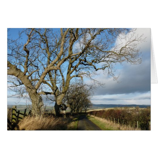 Tarjeta "Carretera nacional" Northumberland Inglaterra