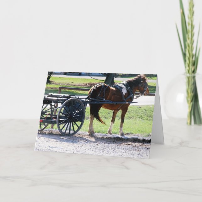 Tarjeta Carro del potro (Anverso)