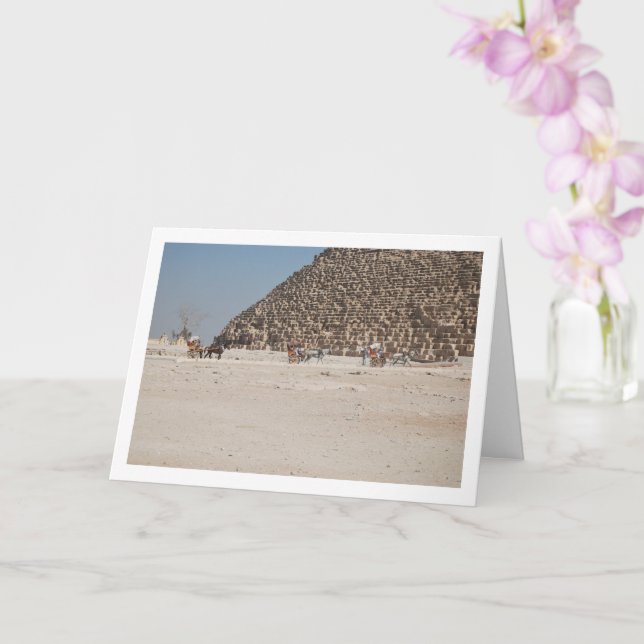 Tarjeta Carruajes de Caballos en Giza, El Cairo (Orquídea)