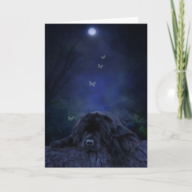 Tarjeta Carta de bienvenida de newfoundland con luz solar  (Anverso)