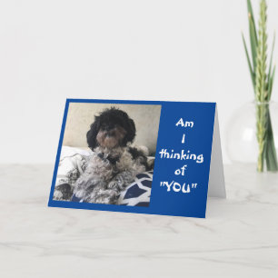 TARJETA ***CARTA DE SENTIMIENTO DIVERTIDO PRONTO***