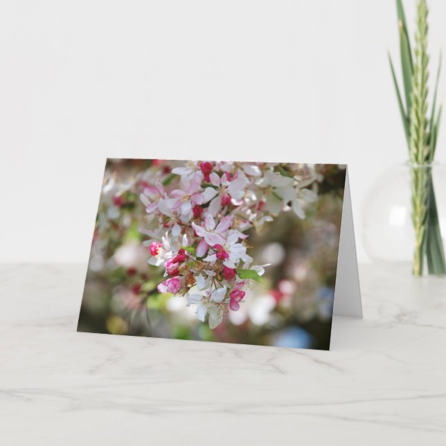 Tarjeta carta en blanco de la gota de belleza (Anverso)