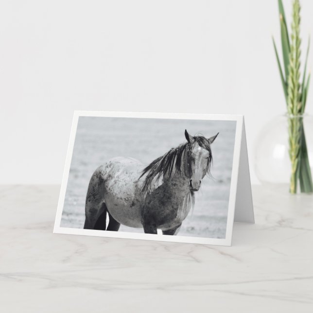 Tarjeta Carta en blanco del Caballo Salvaje de Montaña Ona (Anverso)