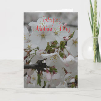Tarjeta Carta en blanco dentro de feliz día de la madre
