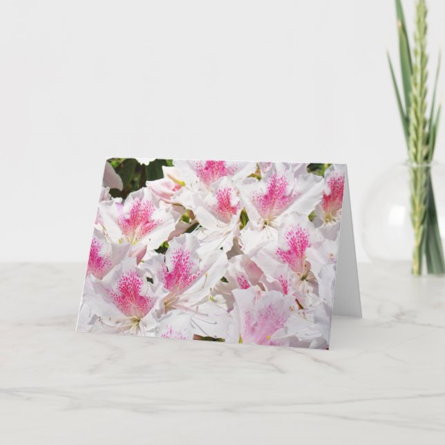 Tarjeta Cartas de felicitación floral en blanco Personaliz (Anverso)