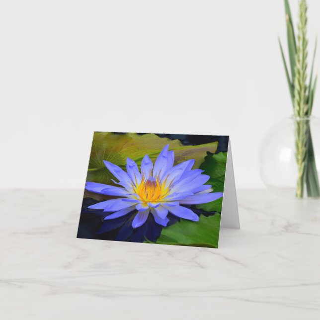 Tarjeta Cartas de saludo Cornflower Blue Big Water Lily (Anverso)
