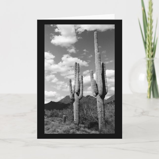 Tarjeta Cartas de saludo de fotos del desierto de Saguaro  (Anverso)