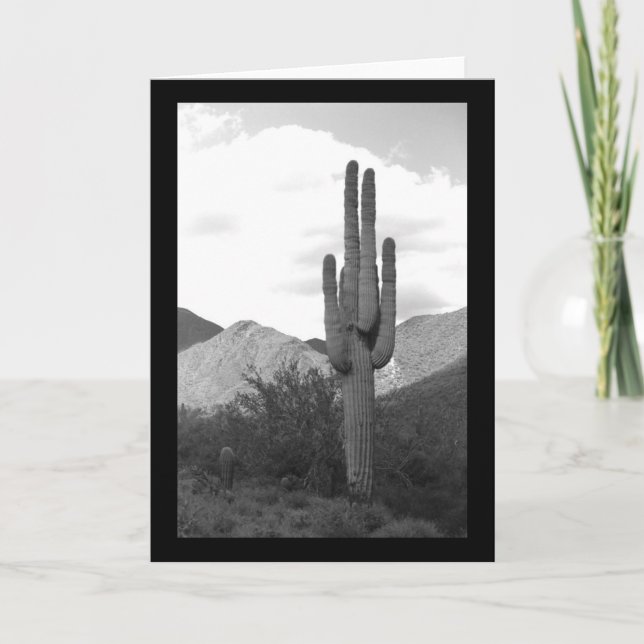 Tarjeta Cartas de saludo de fotos del desierto de Saguaro  (Anverso)