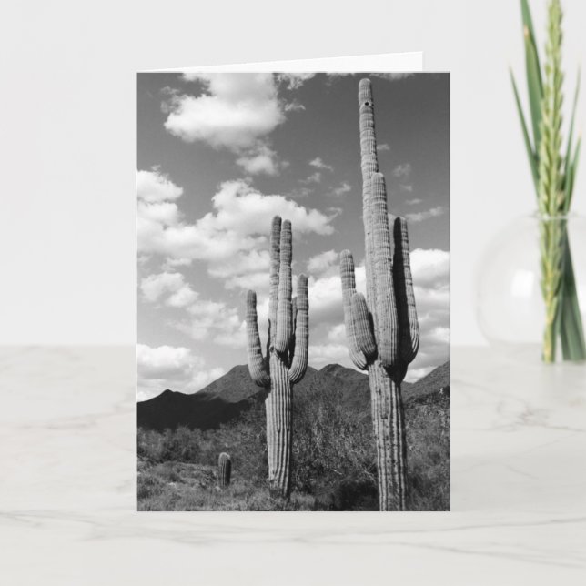Tarjeta Cartas de saludo de fotos del desierto de Saguaro  (Anverso)