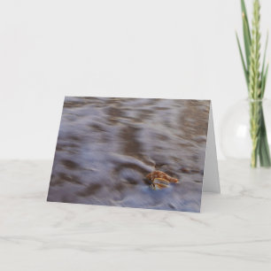 Tarjeta Cartas de saludo de Surf en conchas marinas