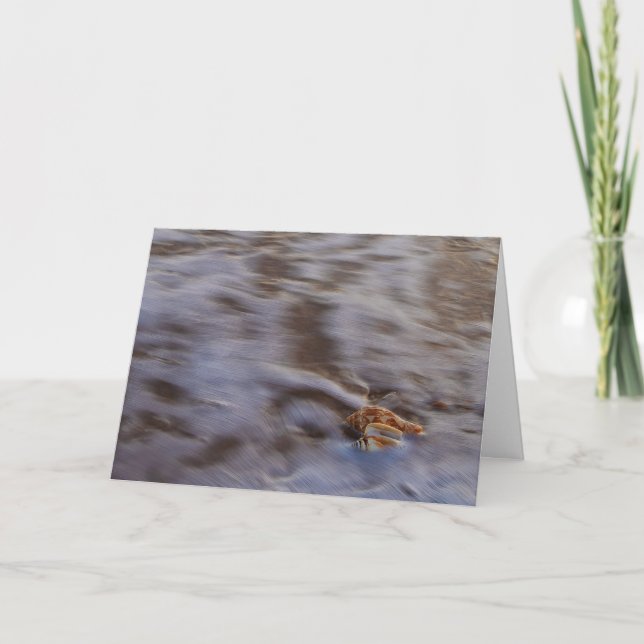 Tarjeta Cartas de saludo de Surf en conchas marinas (Anverso)