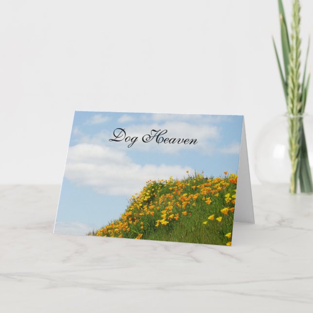 Tarjeta Cartas de simpatía del cielo del perro Perdón por  (Anverso)