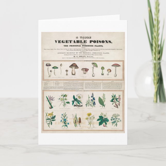 Tarjeta Cartel de la cosecha de venenos (Anverso)