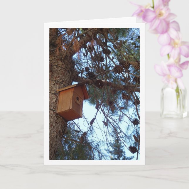 Tarjeta Casa de aves en retrato de pino-árbol (Orquídea)