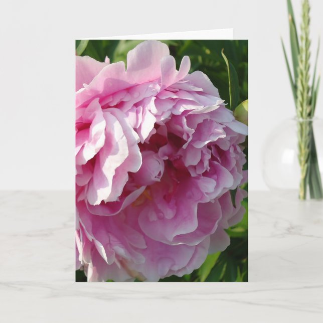 Tarjeta Casa de campo de campo con flores de Pink Peony (Anverso)