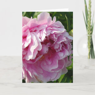 Tarjeta Casa de campo de campo con flores de Pink Peony