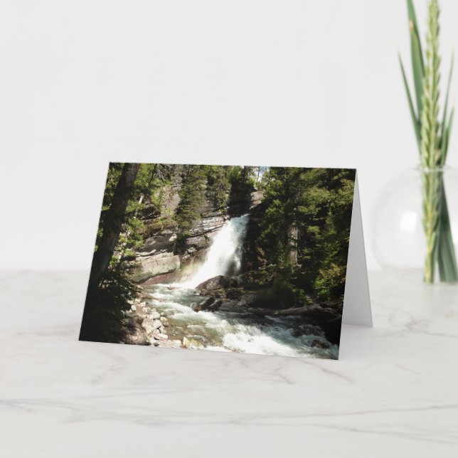 Tarjeta Cascada Baring en el Parque Nacional Glacier (Anverso)
