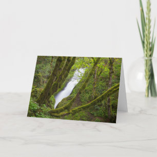 Tarjeta Cascada Bridal Veil