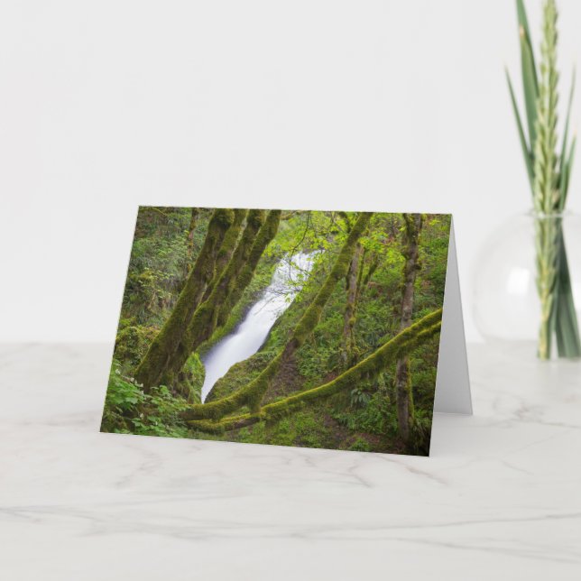 Tarjeta Cascada Bridal Veil (Anverso)