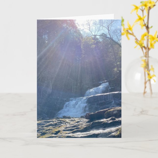 Tarjeta Cascada, rocas y rayos de sol (flor amarilla)