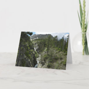 Tarjeta Cascada y pico de Appistoki en el Parque Nacional