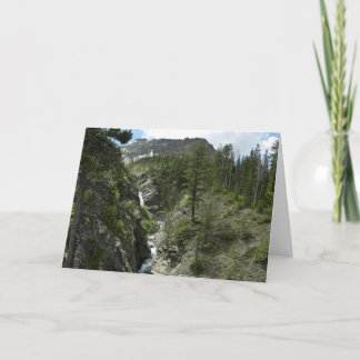 Tarjeta Cascada y pico de Appistoki en el Parque Nacional